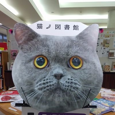 岩手県奥州市立胆沢図書館 猫本コーナー「猫ノ図書館」 2017年2月22日(猫の日)オープン。「猫本専門 神保町にゃんこ堂」がスペシャルアドバイザーです。ねこ館長「むぎ」(オス、ブリティッシュショートヘア)は、出勤しませんが、画像で 猫ノ図書館をPRしています。