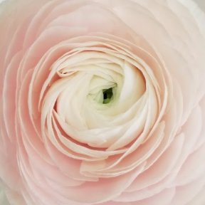 depthsofnow's profile picture. 