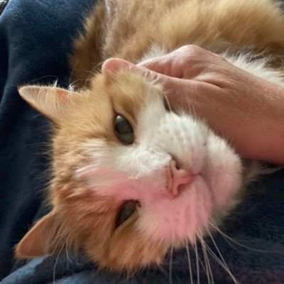 Uscjen's profile picture. US