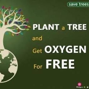 START PLANTING TREES
 🌴GET FREE OXYGEN🌳
START INVESTING- ON FUTURE