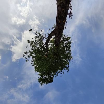 vinznrg's profile picture. Procurate di lasciare il mondo un po' migliore di come l'avete trovato. [BP]