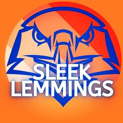 Gamer & Streamer | Sleek Squad | Twitch Affiliate | DGFG