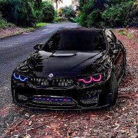 Lucas vaz (@potrogdl) 's Twitter Profile