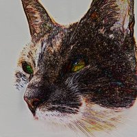 Kismetica (@kismeticat) 's Twitter Profile Photo Kismetica (@kismeticat) 's Twitter Profile Photo