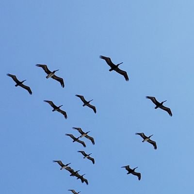 GarciaPlazaLE's profile picture. Esposo, padre de tres, humanista cristiano con las reservas del liberalismo radical. Ejerzo la abogacía entre otras actividades y aficiones.