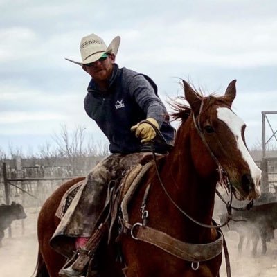 JasonLaird3's profile picture. Texas day worker. Money talks, bullshit walks.