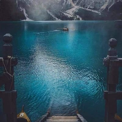 ShaherSherooo's profile picture. Single 💔
Gym 💪
