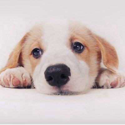 OLUKKS's profile picture. 