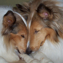 terrence steele - @terrencesteele - Twitter