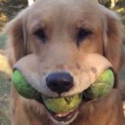 barflys59's profile picture. 