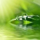 高3/理系(物理、数Ⅲ選択)/得意:現代文、化学/苦手:数学、物理/進研ゼミ/東北大学工学部志望/質問多めの垢/フォロー&フォロバは勉強関連のツイート多めの方(勉強垢だとはっきりわかる方)と企業系の垢は気になった方にしてます