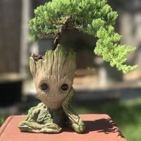 Khein (@knckum1) 's Twitter Profile