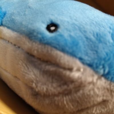 hirurururuandon's profile picture. https://t.co/1GMUHJgVQb