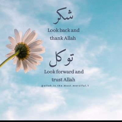 ErfanDar7's profile picture. adventurous by nature.. Kashur By birth..