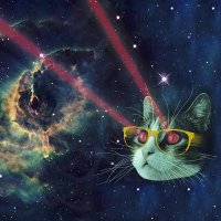 Salty Libertarian (@yikibe) 's Twitter Profile