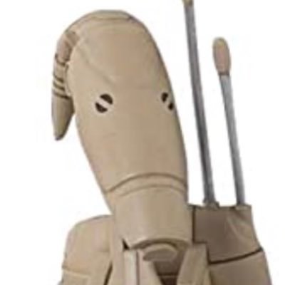 robodev_bsc's profile picture. I am... ROBODEV