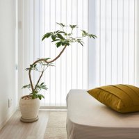 studio ICHIE (@ichie1006) Twitter profile photo