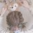 🌸🧸🍯ちゃちゃ🍩🥪🐇のアイコン