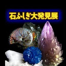 西日本最大規模の鉱物や化石、石製品などの展示即売会『石ふしぎ大発見展』。
1989年11月18、19日に第１回京都ミネラルショーを開催
1995年3月31日～4月2日に第１回大阪ミネラルショーを開催
それ以来、京都と大阪で年２回開催しています（京都ミネラルショー／大阪ミネラルショー）。