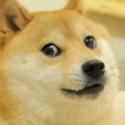 cadam_l's profile picture. 