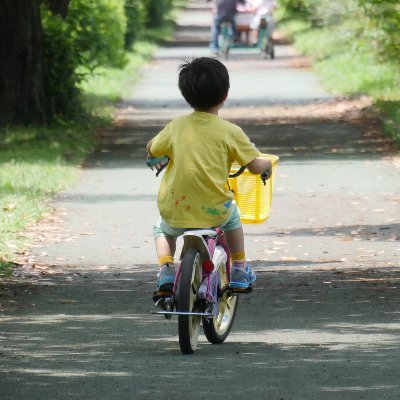 Kota 🍇 英語学習エンジニアさんのプロフィール画像