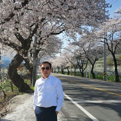 5tr0JaNf7Cy2aMl's profile picture. cho you su