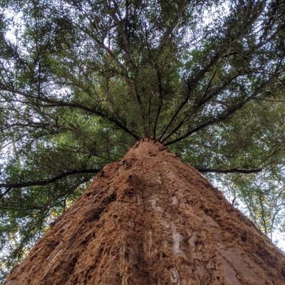 JAlexander101's profile picture.