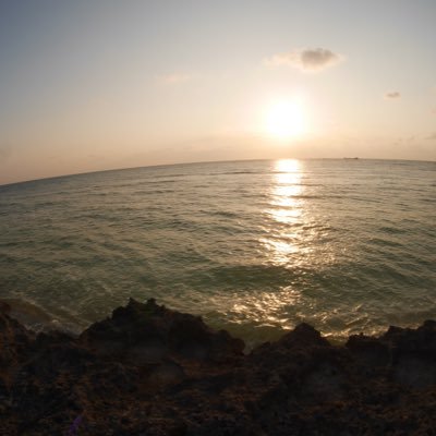 jelly7733's profile picture. ファボRTは必ずしも賛成ではありません。フォロー、ブロック、ミュートご自由に。