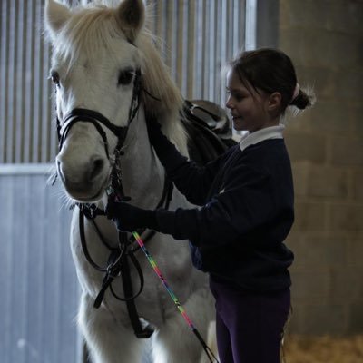 Susie Sands - boarding, breeding, prepping & spelling in deepest Suffolk countryside, far from the madding crowd!