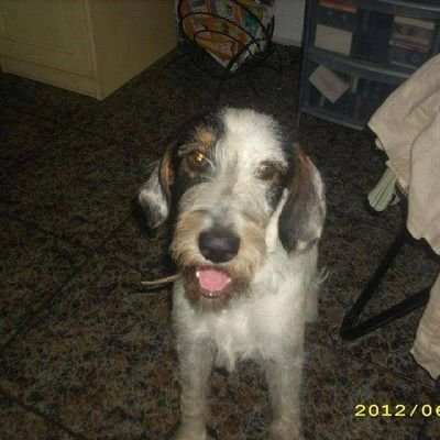 PaquipardoP's profile picture. 