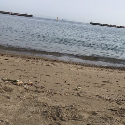 bongore77's profile picture. スカウトマン