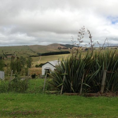 HarshalNarkhede's profile picture. 