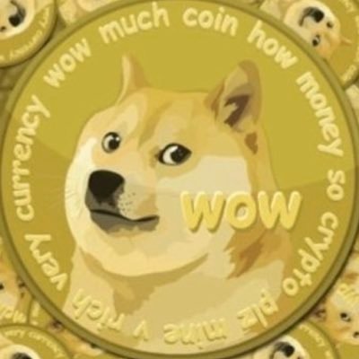 #Dogecoin is the People’s Coin. I am not a Financial Advisor Tweets arent financial advise. A soldier from Turkey  #Dogearmy 💪🏾