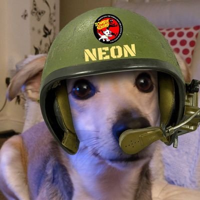 NuttyNeon's profile picture. I'm Neon. A lurcher crossed with a rocket. speedy at all times. Like running about. My sisfur Trixie has now GOTRB 🌈. I came from Dogs Trust Evesham