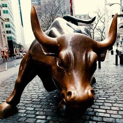 Life goes on let's live on // Make cake great again // Volatility lover // Crypto-optimistic // Bitcoin & Altcoin // Bull run