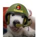 Angel Captain Trixie Bell the Brave 🌈 #ZSHQ (@TrixieBell28) Twitter profile photo
