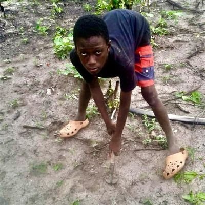 Modou28444645's profile picture. I am modou i am from the Gambia in West Africa in smiling coast the Africa I living with ky family I lost my father and I am the responsibility of my own family