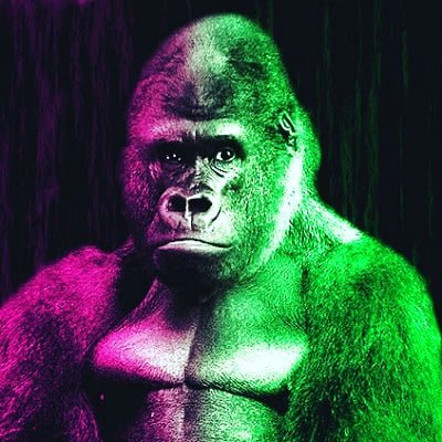 動画編集をしてる喋れるゴリラ🦍│副業収入5〜6桁│普段は福祉職員│福祉×動画で業界を変える│相談を受けた数は1000回以上│人の悩みに寄り添い支援する│人生は【今】から変えることができる│山で遭難し三途の川を渡りかけた男│会社員と副業を両立するためのマインドや動画編集系の話をしていきます。