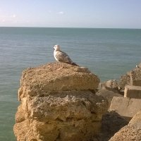 MichałAntoni (@michalantoni11) 's Twitter Profile