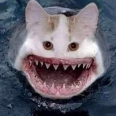 Robloxmodel_'s profile picture. Hello