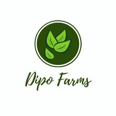 Visit Dipo Integrated Farms Limited Profile