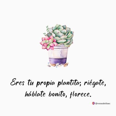 ANIRAKRDZ's profile picture. 31 de agosto