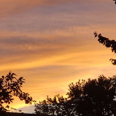 Linda25332594's profile picture. Music