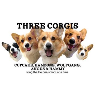 Three Corgis