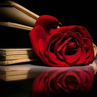 ÃŤÊĘQ ÃHMÃĐ (@ahmadateeq11) 's Twitter Profile