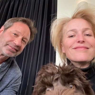 🇬🇧 Follow for latest news and updates on Gillian Anderson & David Duchovny. The X-Files, The Fall, Sex Education…movies and new shows.