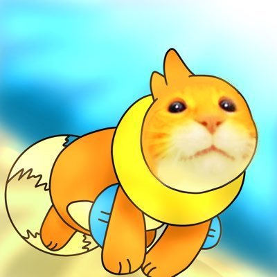 dechargeprivee's profile picture. Fier habitant de la guyane française !