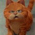 every frame of Garfield (2004) in order (@GarfieldFrames) Twitter profile photo