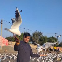 Paresh Gohel (@pareshg17) 's Twitter Profile Photo Paresh Gohel (@pareshg17) 's Twitter Profile Photo