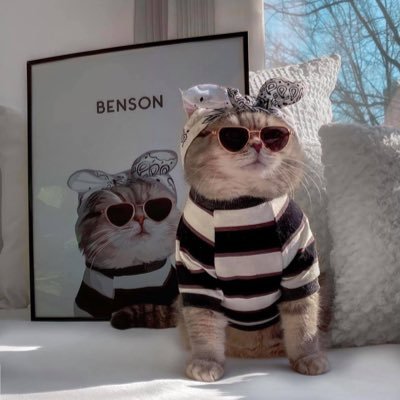 MakmakSush's profile picture. 